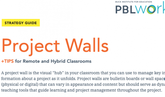 Thumbnail of this downloadable resource called Project Walls