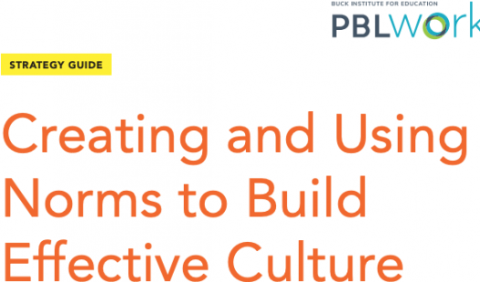 Thumbnail of this downloadable resource called Creating and Using Norms to Build Effective Culture