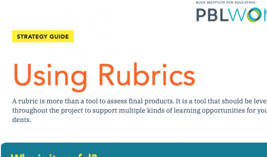 Thumbnail of this downloadable resource called Using Rubrics