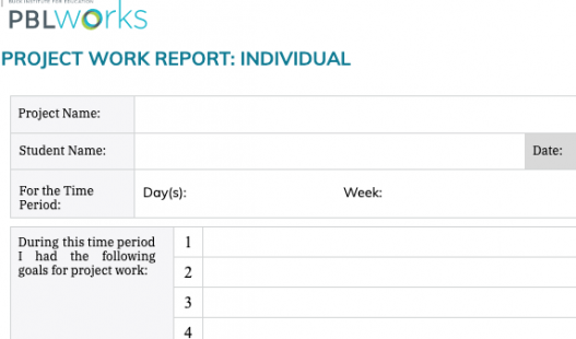Thumbnail of this downloadable resource called Project Work Report: Individual