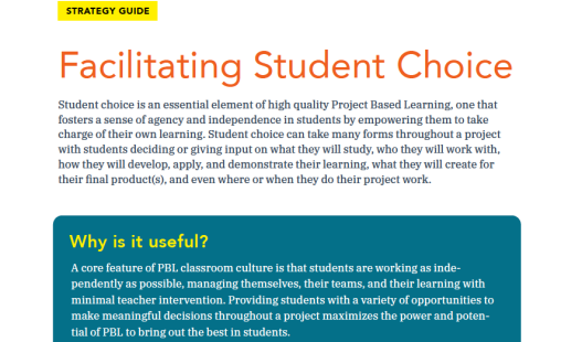 Thumbnail of this downloadable resource called Facilitating Student Choice