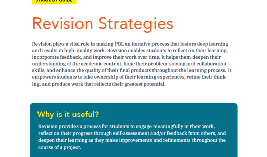 Thumbnail of this downloadable resource called Revision Strategies