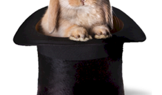 Rabit