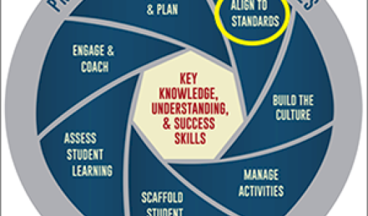 Project Based Teaching Practices