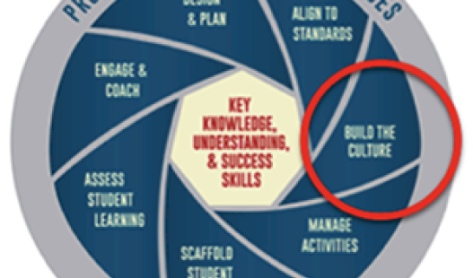 Project Based Teaching Practices