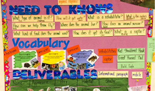 Bulletin Board