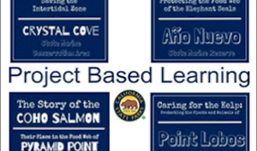 Project Ideas