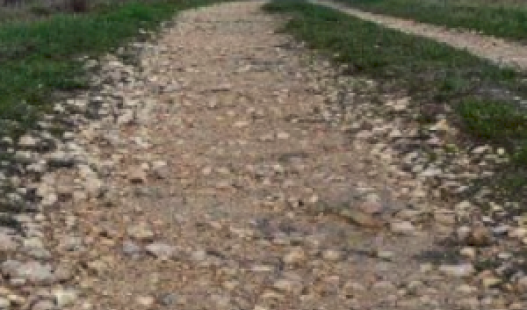 Path