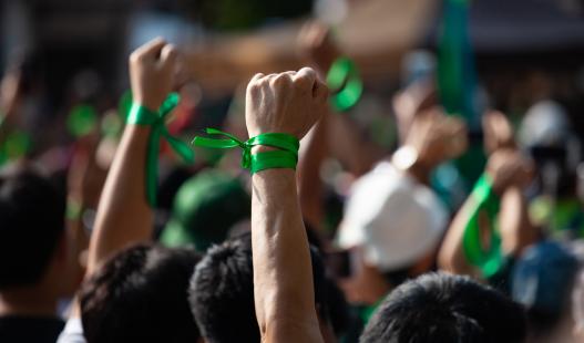 A crowd of protesters wearing green ribbons on their wrists raise their fists in the air.