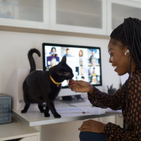 Woman on computer petting her cat taking a course