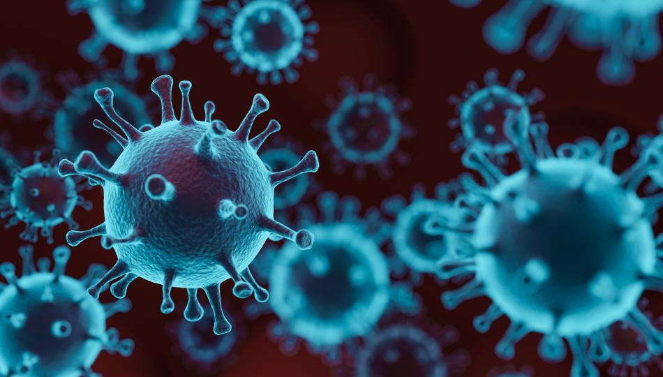 image of covid19 virus