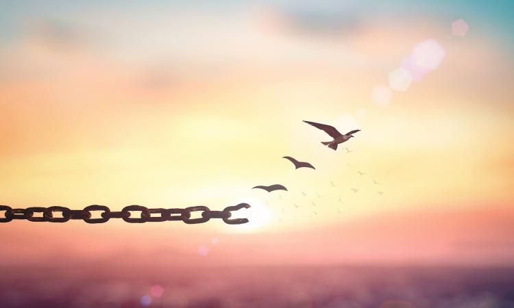 A sunset with a chain running across it. There are three doves flying away from the chain.