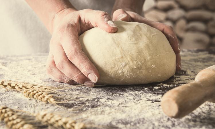 Hands kneading bread dough