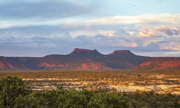 A view of Bears Ears National Monument