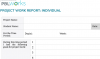 Thumbnail of this downloadable resource called Project Work Report: Individual