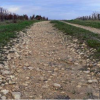 Path
