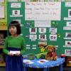 This video features kindergarten student presentations of projects on stray animals.