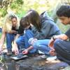 This video features Marin School of Arts and Technology students evaluating the health of their local watershed.