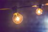 Closeup photo of a lightbulb on a string of lights